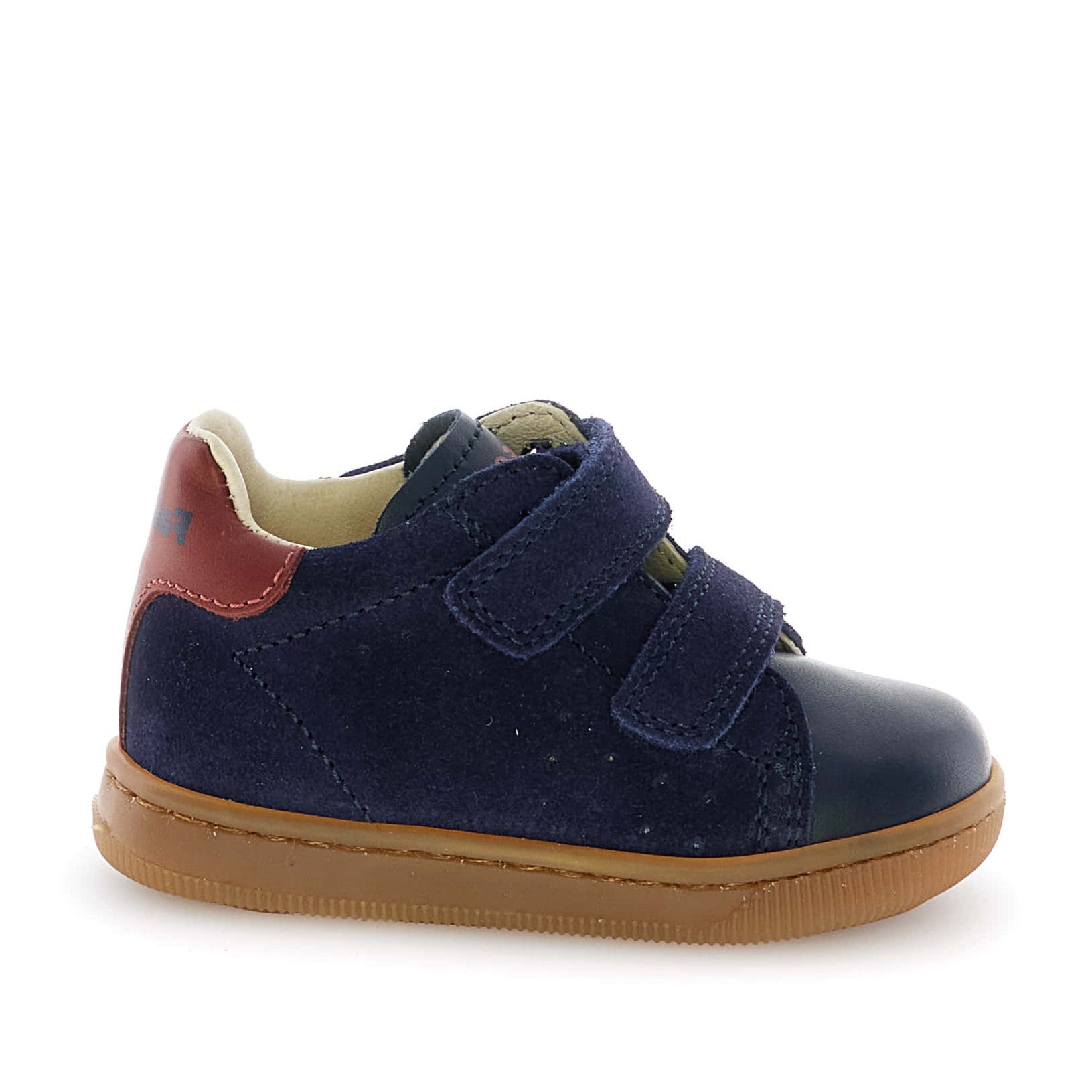 Falcotto Navy-Chesnut Double Buckle Velcro Sneaker - Adam