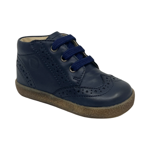 Falcotto Navy Laced Wingtip Sneaker- Cupido